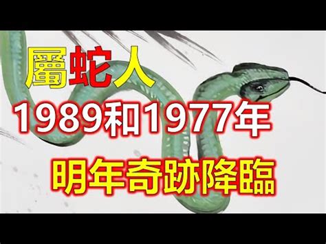 1989年蛇